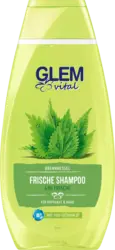 Schwarzkopf GLEM vital Shampoo Frische Brennnessel