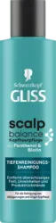 Schwarzkopf GLISS Shampoo Tiefenreinigung Scalp Balance