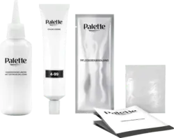 Palette Intensive Color Creme Intensiv-Creme-Coloration 880 Aubergine