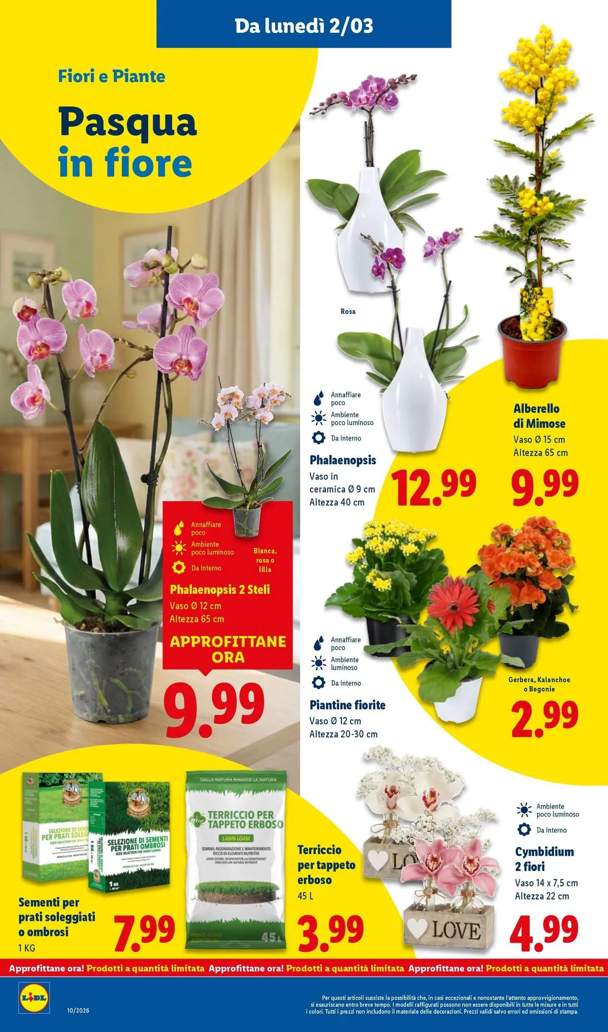 LIDL volantino della prossima settimana dal ﻿02/03/2026﻿ 📣 | Pagina: 40 | Prodotti: Terriccio, Tappeto, Vaso