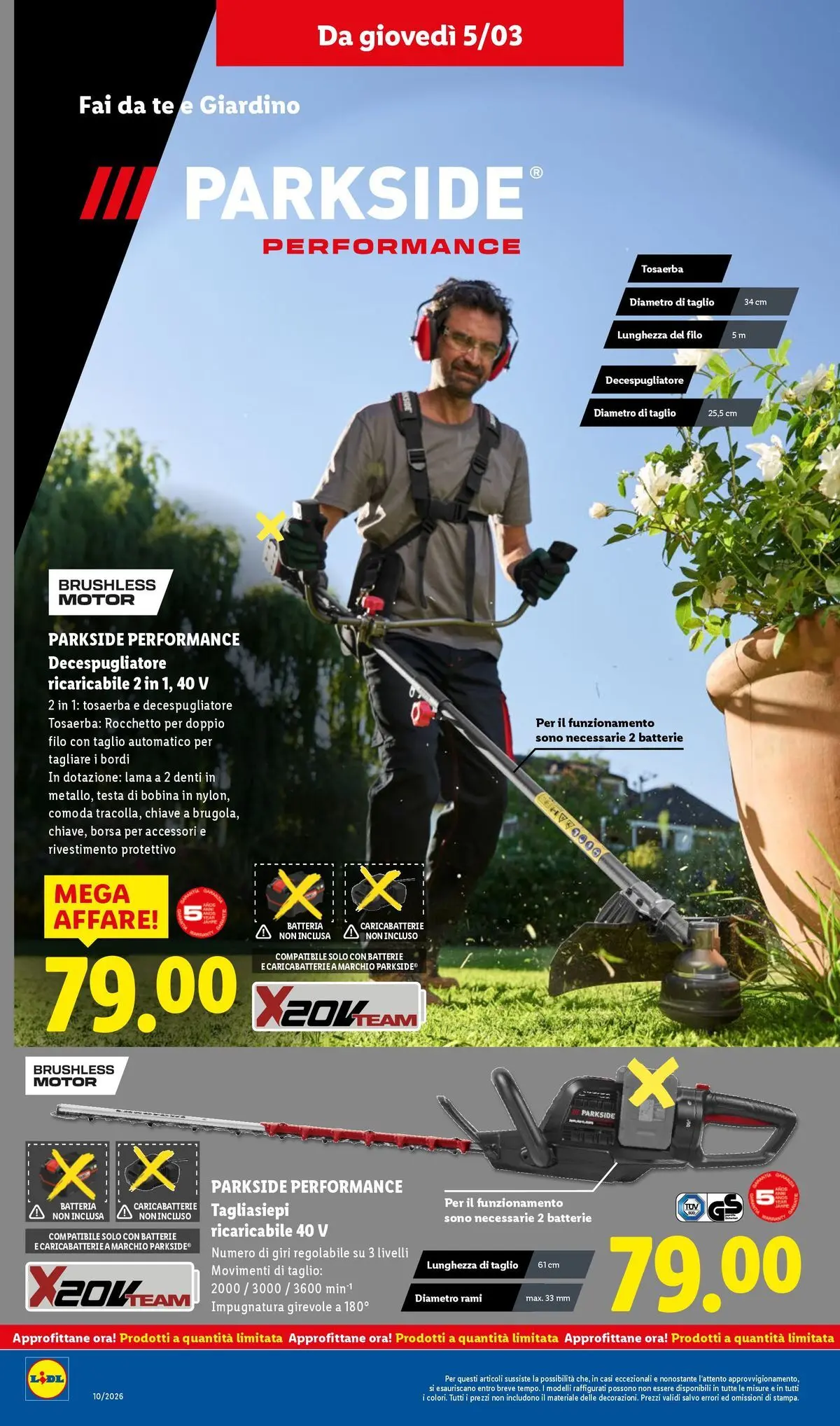 LIDL volantino della prossima settimana dal ﻿02/03/2026﻿ 📣 | Pagina: 42 | Prodotti: Tè, Decespugliatore, Borsa, Batterie