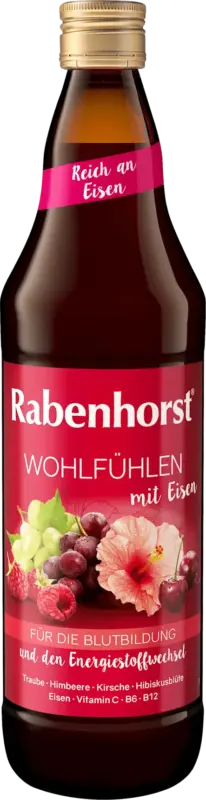 Rabenhorst Direktsaft Wohlf&uuml;hlen mit Eisen