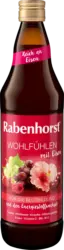 Rabenhorst Direktsaft Wohlf&uuml;hlen mit Eisen