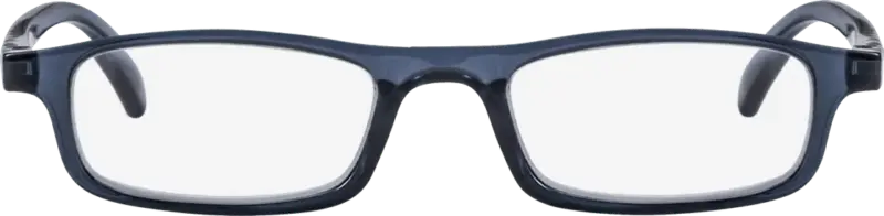 Visiomax Fertig-Lesebrille grau blau +2,00