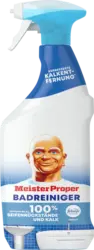 Meister Proper Badreiniger