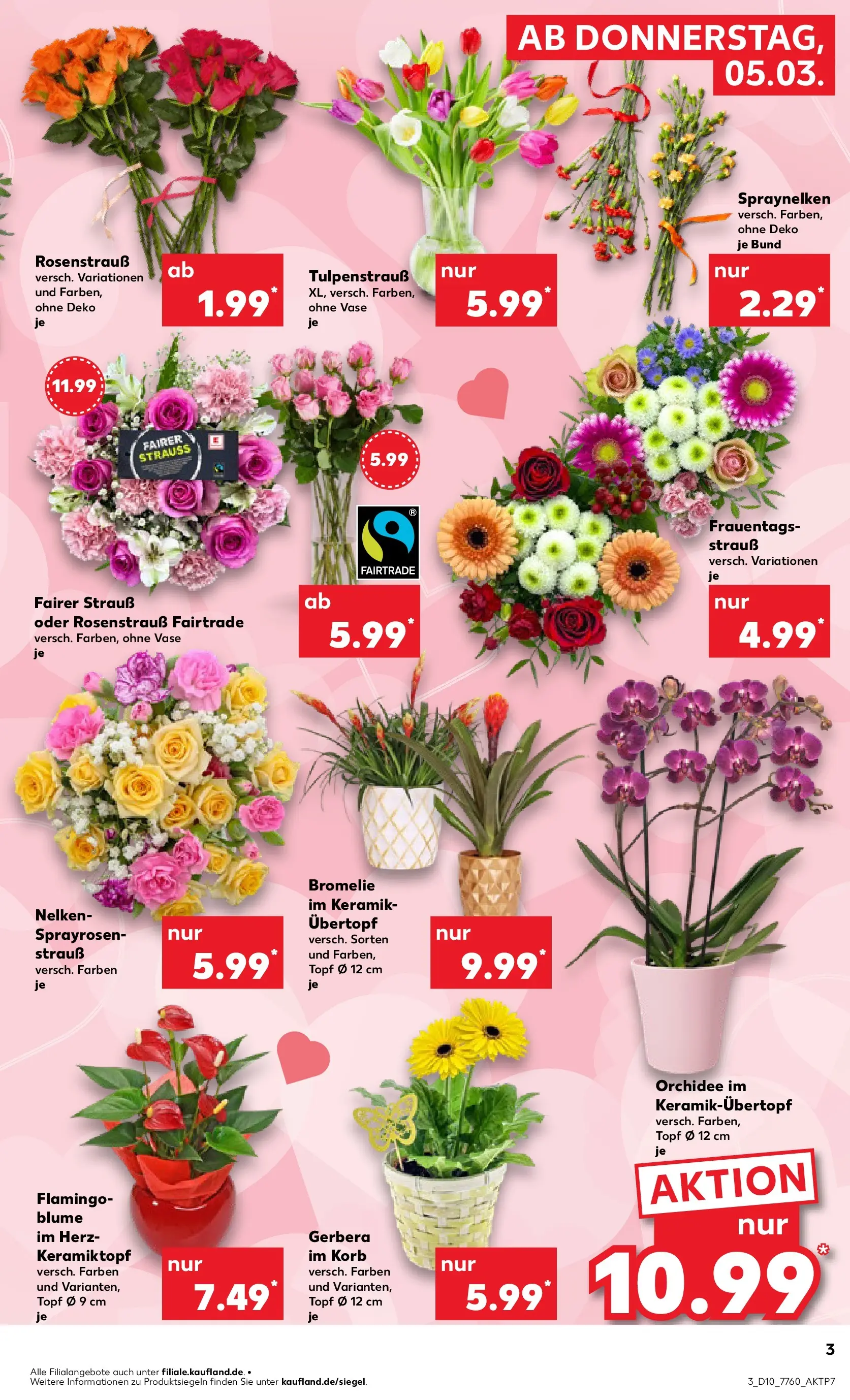 Prospekt Kaufland ab 02.03.2026 » Angebote und Werbung Online | Seite: 15 | Produkte: Orchidee, Korb, Vase Prospekt Kaufland ab 02.03.2026 » Angebote Online zum Blättern | Seite: 15 | Produkte: Orchidee, Korb, Vase