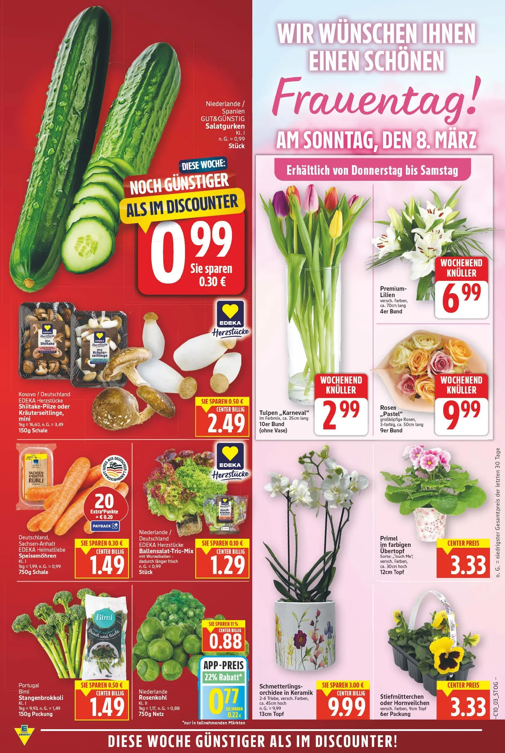 E center Prospekt Magdeburg	 (ab 02.03.2026) » Angebote Online | Seite: 3 | Produkte: Stiefmutterchen, Orchidee, Vase