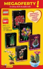 Ekskluzywne oferty dla naszych klient&oacute;w