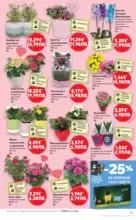 Kaufland хипермаркет Правилния избор в Kaufland с предложения валидни до 08.03.2026 - до 08-03-26