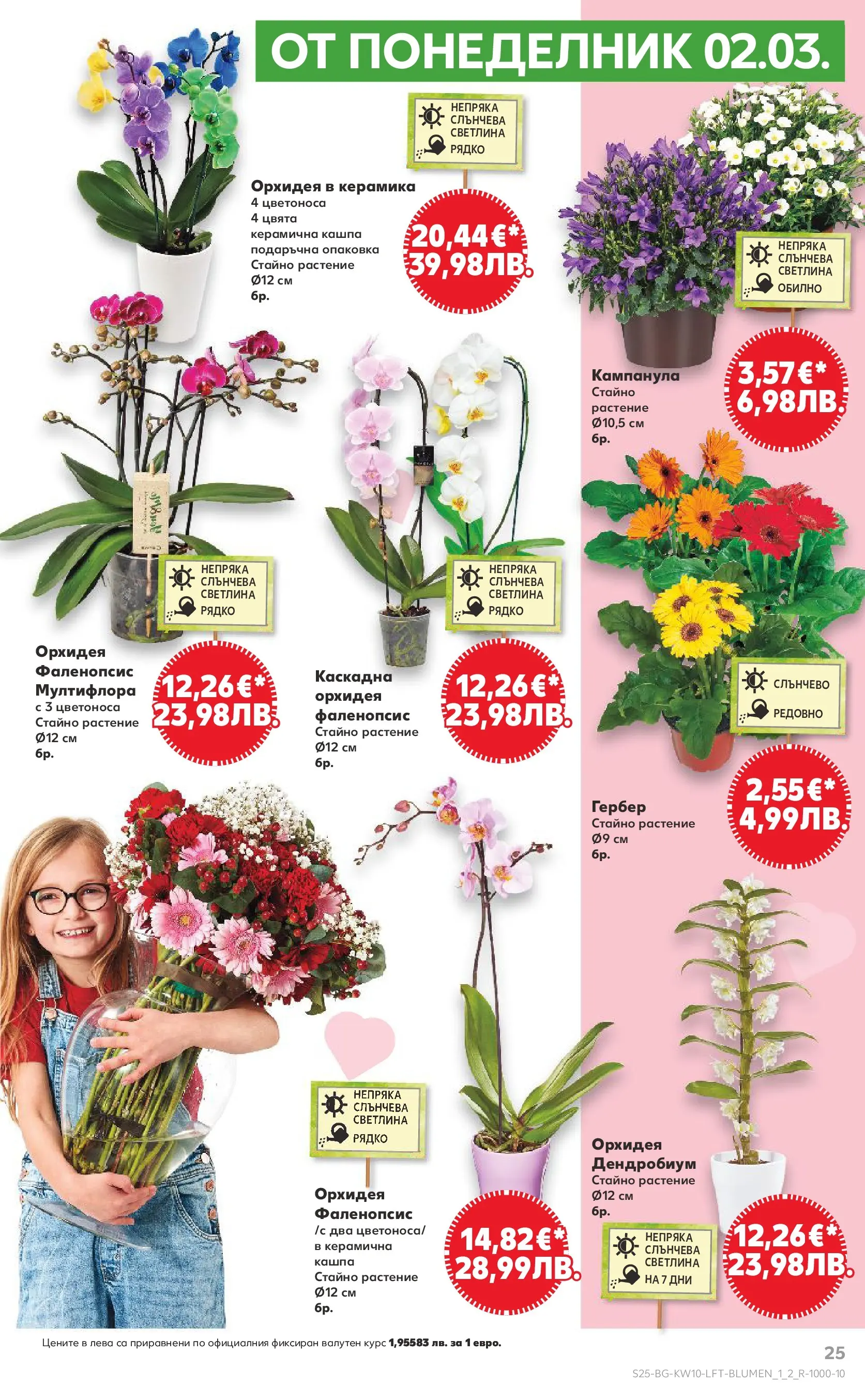 Нова Кауфланд - Правилния избор в Kaufland с предложения валидни до 08.03.2026 от 01.03.2026 | Страница: 25 | Продукти: Кашпа, Орхидея