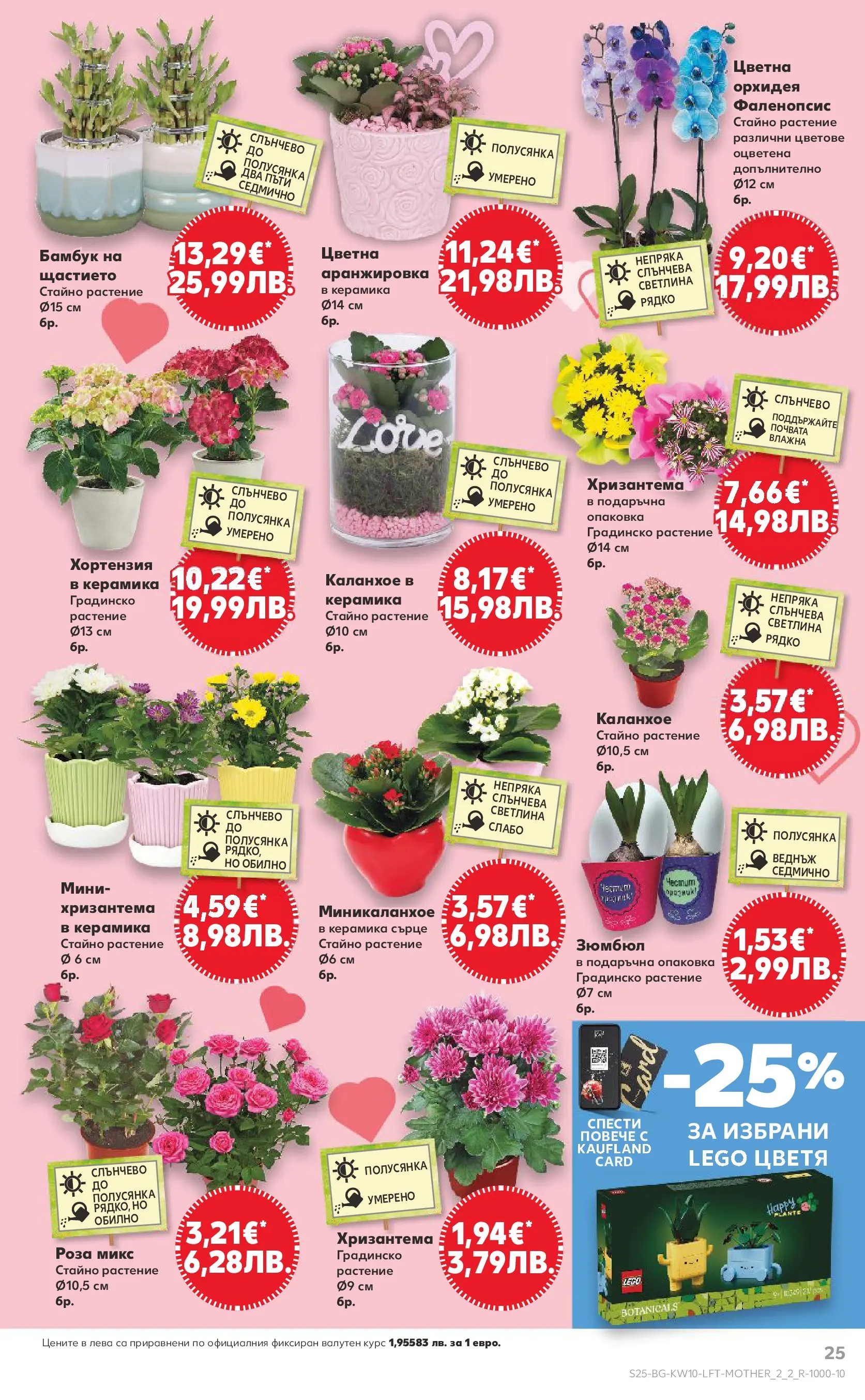 Нова Кауфланд брошура от 01.03.2026 | Страница: 25 | Продукти: Орхидея, Хризантема, Роза Нова Кауфланд - Правилния избор в Kaufland с предложения валидни до 08.03.2026 от 01.03.2026 | Страница: 25 | Продукти: Орхидея, Хризантема, Роза