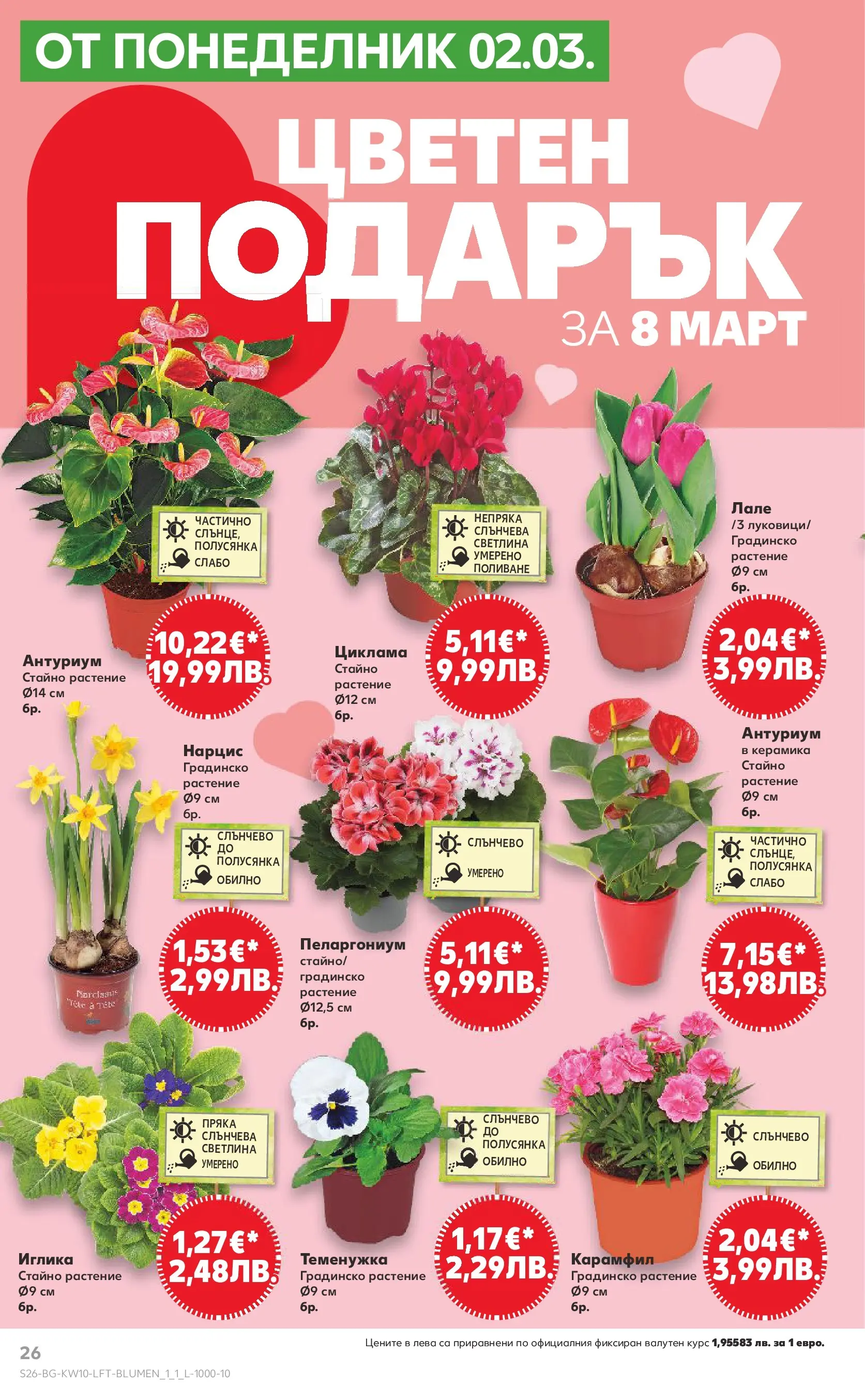Нова Кауфланд брошура от 01.03.2026 | Страница: 26 | Продукти: Карамфил Нова Кауфланд - Правилния избор в Kaufland с предложения валидни до 08.03.2026 от 01.03.2026 | Страница: 26 | Продукти: Карамфил