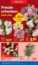 Lidl Lidl: Wochenangebote - bis 07.03.2026
