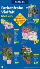 Lidl Lidl: Wochenangebote - bis 07.03.2026