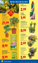 Lidl Lidl - bis 04.03.2026