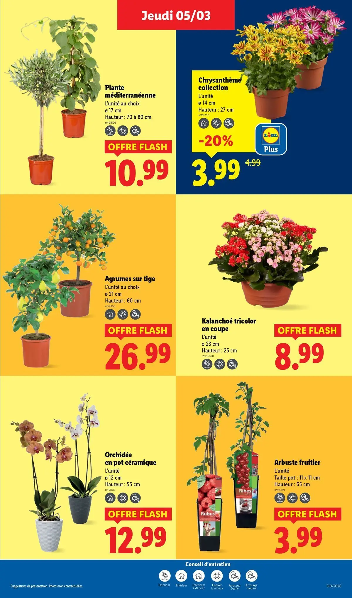 Catalogue LIDL du 05/03/2026 | Promo prospectus en ligne | Page: 27 | Produits: Chrysanthème, Orchidée, Arbuste Fruitier Catalogue LIDL du 05/03/2026 | Promo prospectus en ligne | Page: 27 | Produits: Chrysanthème, Orchidée, Arbuste Fruitier