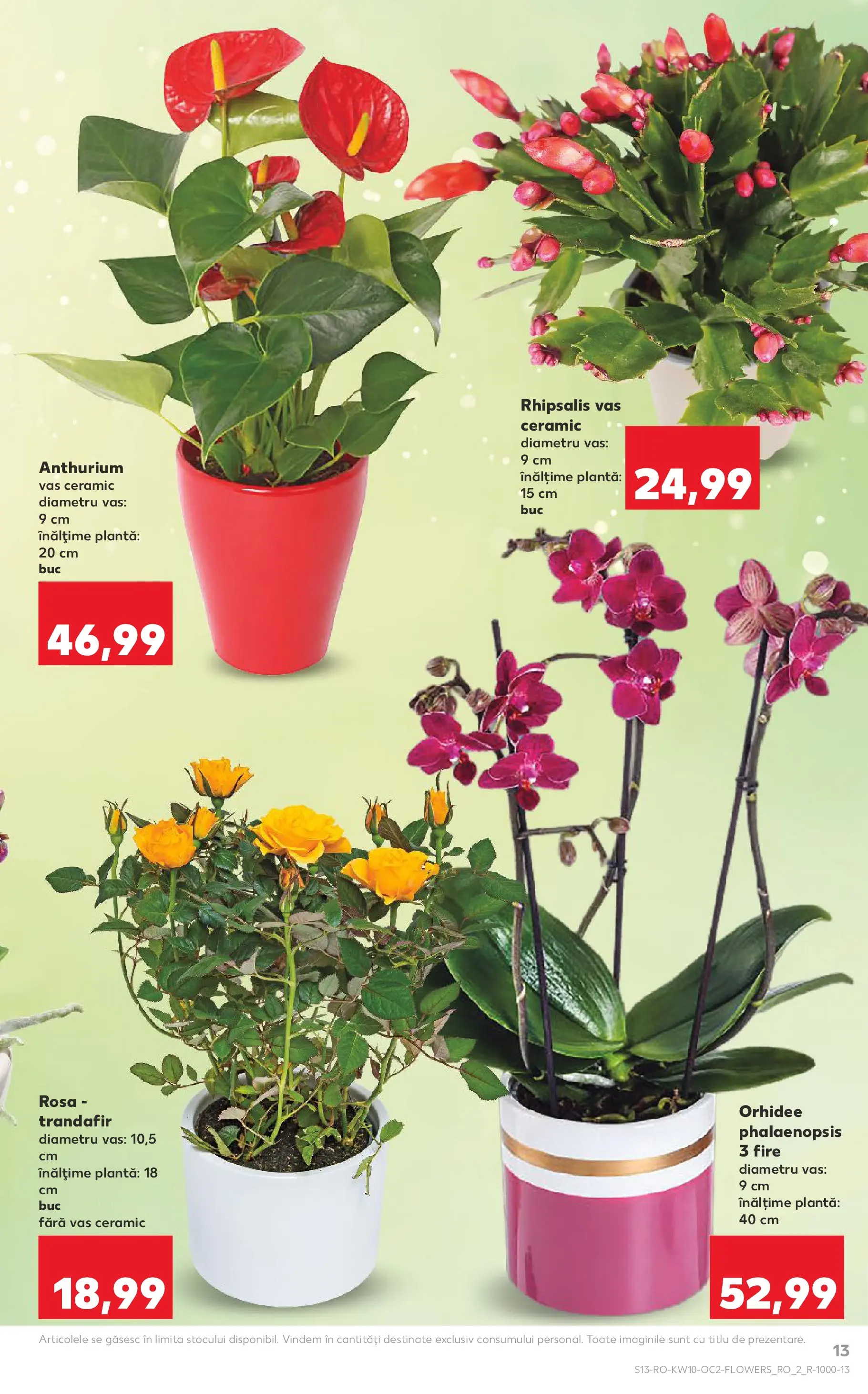 Kaufland Zalau 03.03.2026 - Revista si Oferta | Pagină: 13