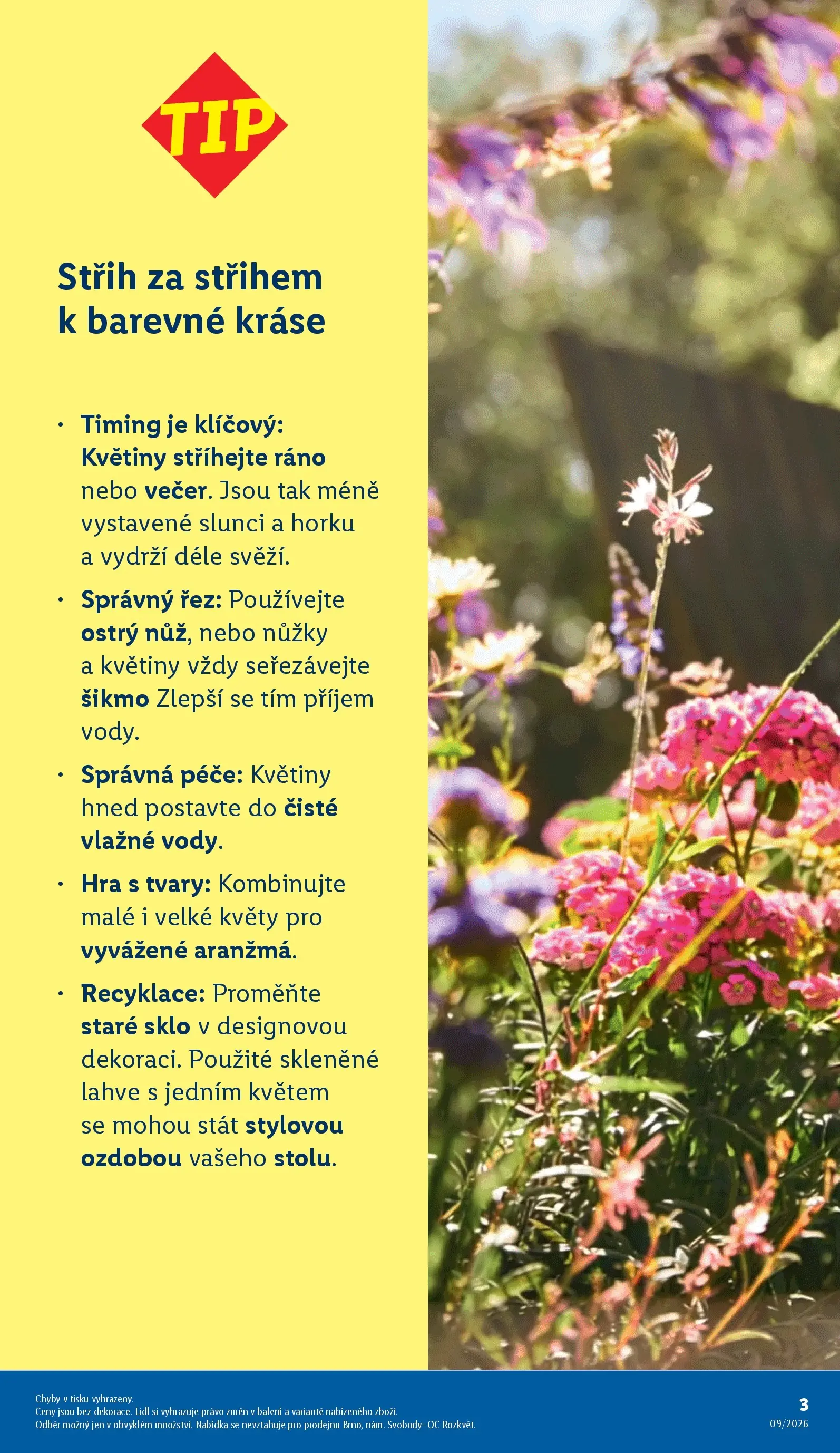 Lidl leták od 01.03.2026 - Nový akční leták | Strana: 3