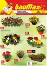 Baumax Aktu&aacute;ln&iacute; let&aacute;k Baumax &ndash; do 31.03.2026