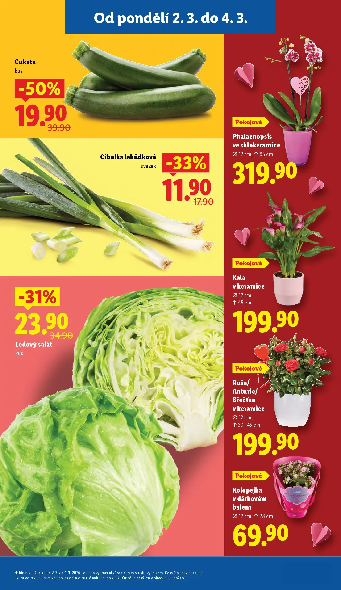 Lidl leták od 01.03.2026 - Nový akční leták | Strana: 13 | Produkty: Kalanchoe, Salát, Cuketa, Ledový salát