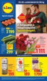 Lidl &uacute;js&aacute;g &eacute;rv&eacute;nyess&eacute;ge 2026.03.11-igg-