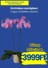 Magnetic &uacute;js&aacute;g &eacute;rv&eacute;nyess&eacute;ge 2026.03.11-igg