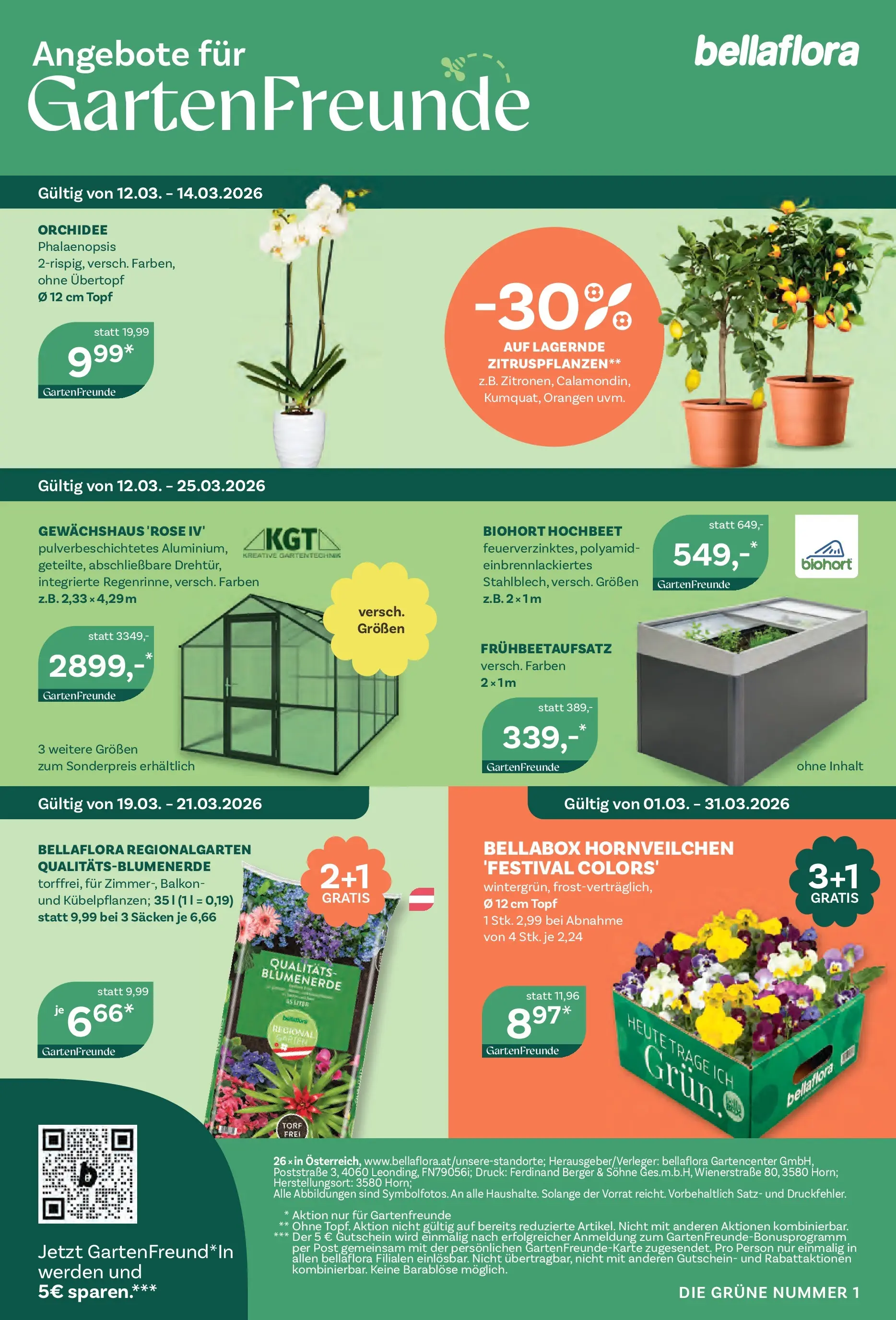 bellaflora Flugblatt - Villach, Wien, Vösendorf von 12.03.2026 - Aktuelle Angebote | Seite: 8 | Produkte: Orangen