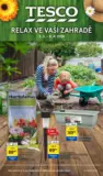 tesco letak-2026-03-03