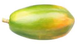 Папая Формоза