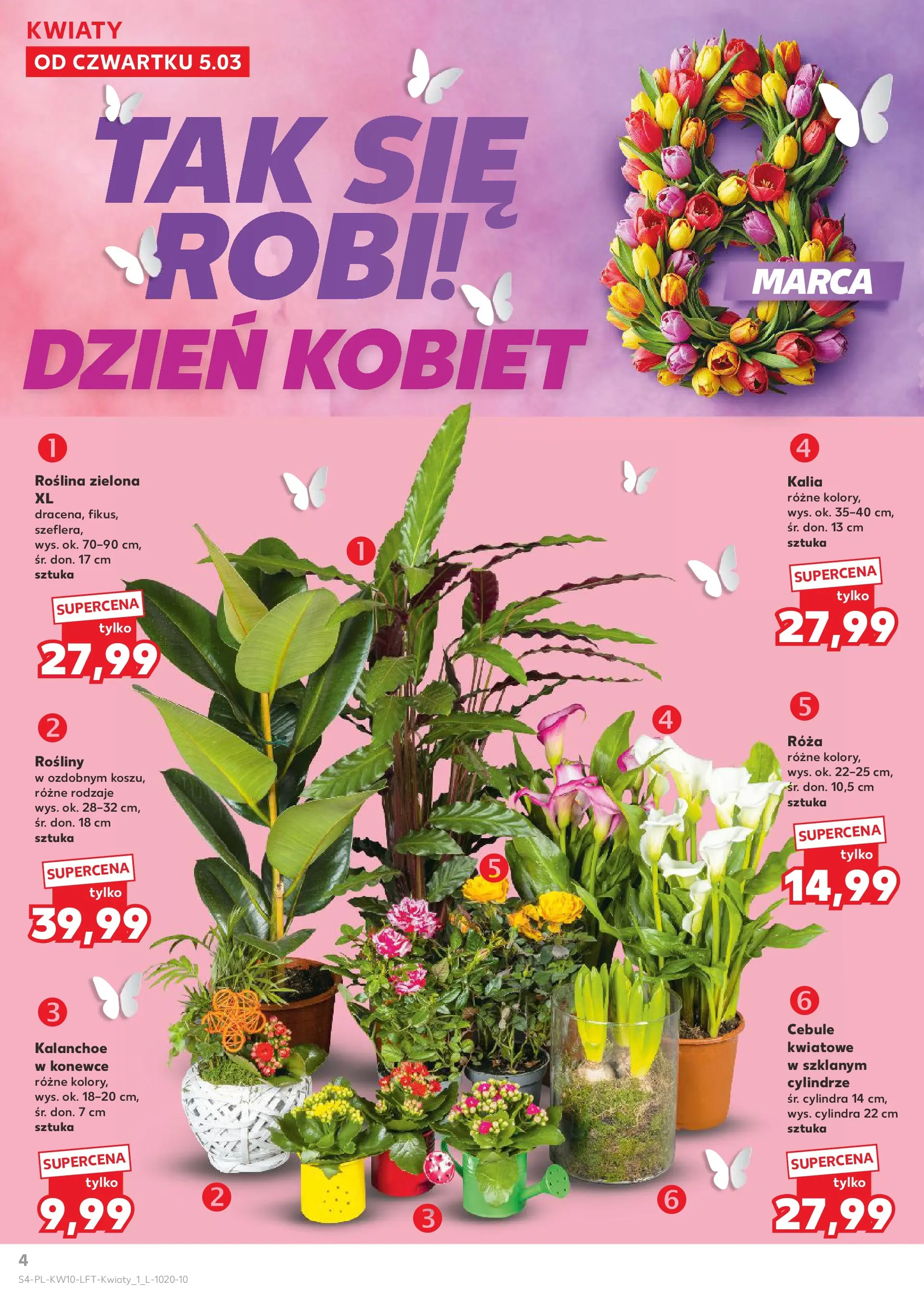 Kaufland gazetka od 05.03.2026 - od jutra PDF | Strona: 4 | Produkty: Rosliny, Kalanchoe, Kwiaty, Cebule