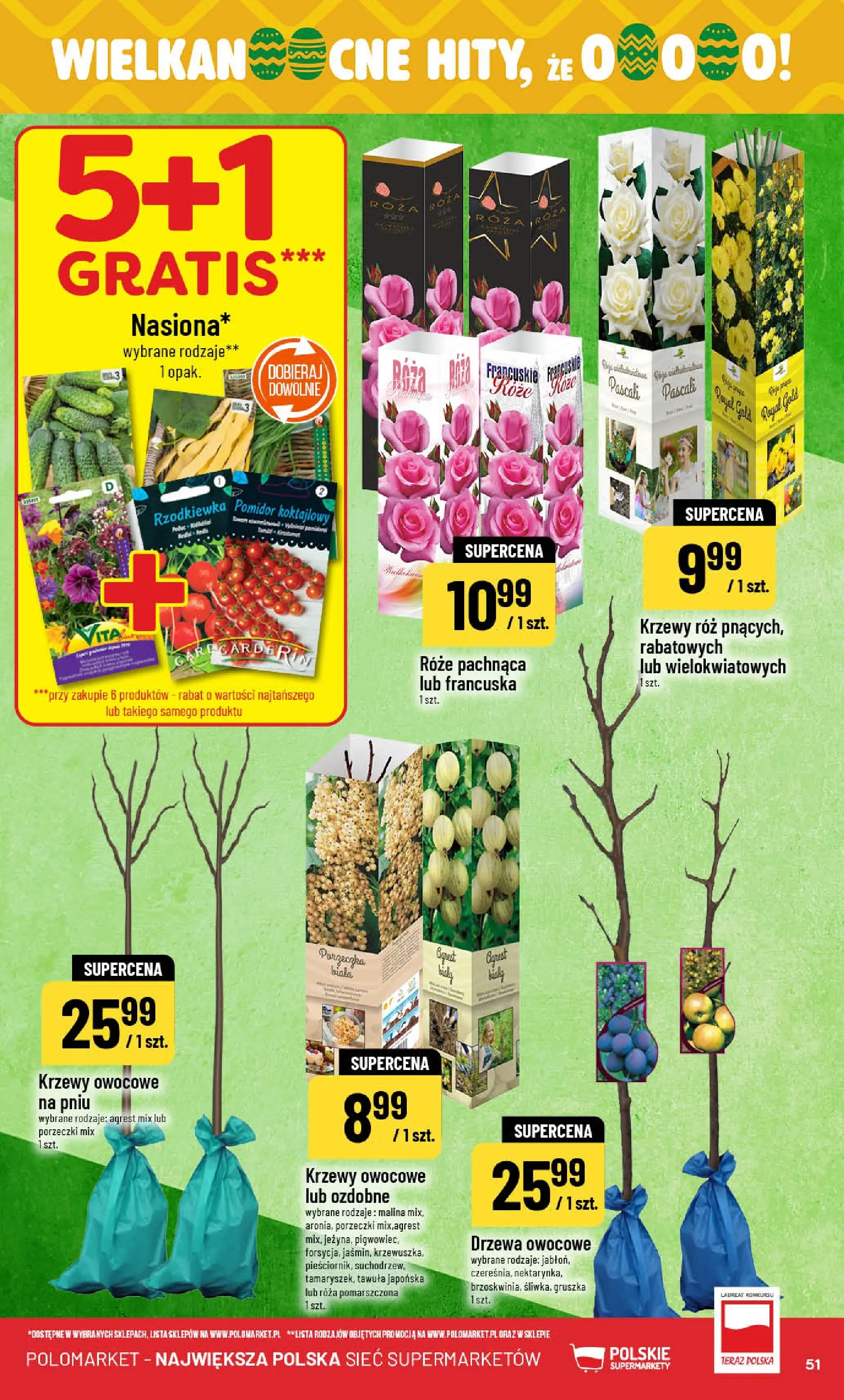 Nowa POLOmarket gazetka od jutra 04.03.2026 (PDF) | Strona: 51 | Produkty: Malina, Porzeczka, Agrest, Róż