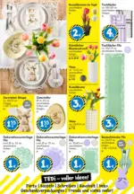 TEDi TEDi: entdecke die neuen TEDi Trends - bis 14.03.2026