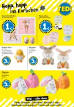 TEDi TEDi: entdecke die neuen TEDi Trends - bis 14.03.2026