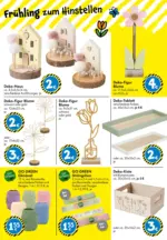 TEDi TEDi: entdecke die neuen TEDi Trends - bis 14.03.2026