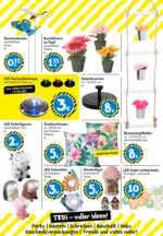 TEDi TEDi: entdecke die neuen TEDi Trends - bis 14.03.2026