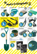 TEDi TEDi: entdecke die neuen TEDi Trends - bis 14.03.2026