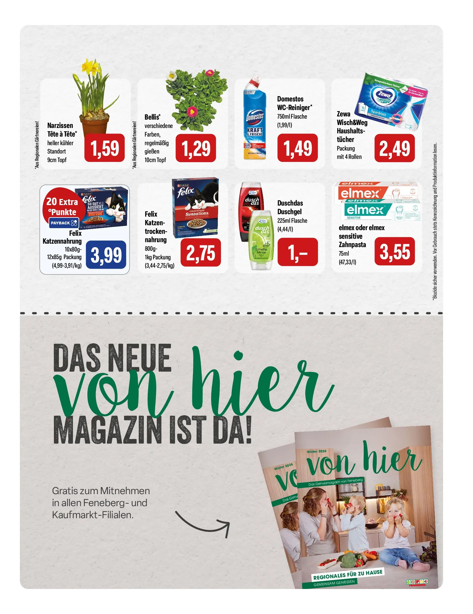 Feneberg  Aktuelle Angebote (ab 05.03.2026) zum Blättern | Seite: 15 | Produkte: Zewa, Duschgel, Duschdas, Limette