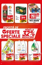 Catalog Profi p&acirc;nă &icirc;n data de 17.03.2026