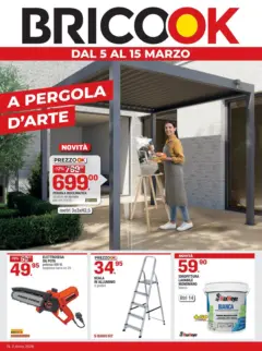 Anteprima del volantino Brico OK - A pergola d'arte valido a partire dal 04.03.2026