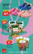 POLOmarket Gazetka NonFood ważna do 10.03