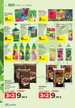 Porta il verde a casa