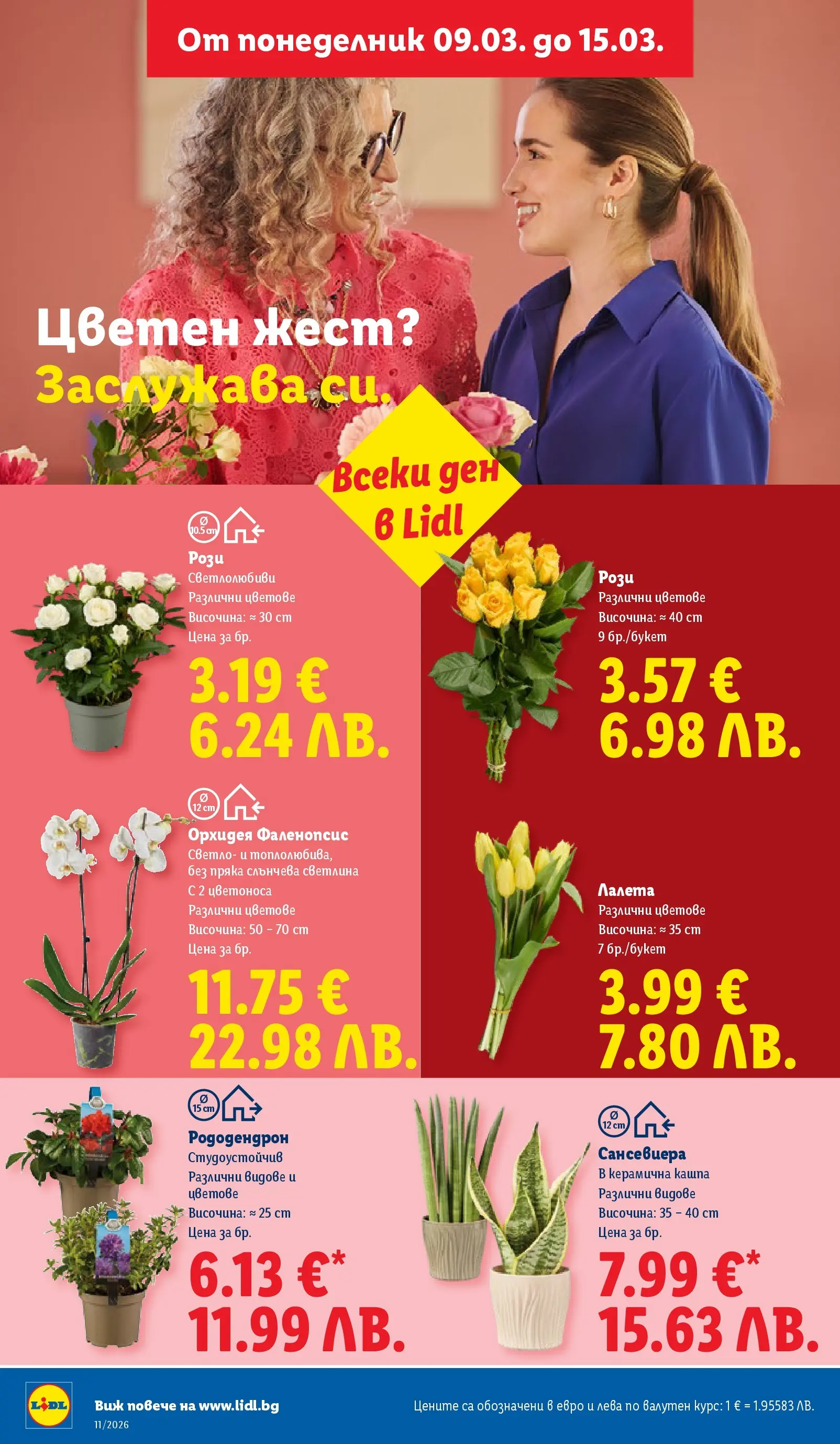 Лидл - Темпераментни предложения в ЛИДЛ с валидност до 15.03.2026 от 08.03.2026 | Страница: 50 | Продукти: Кашпа, Орхидея