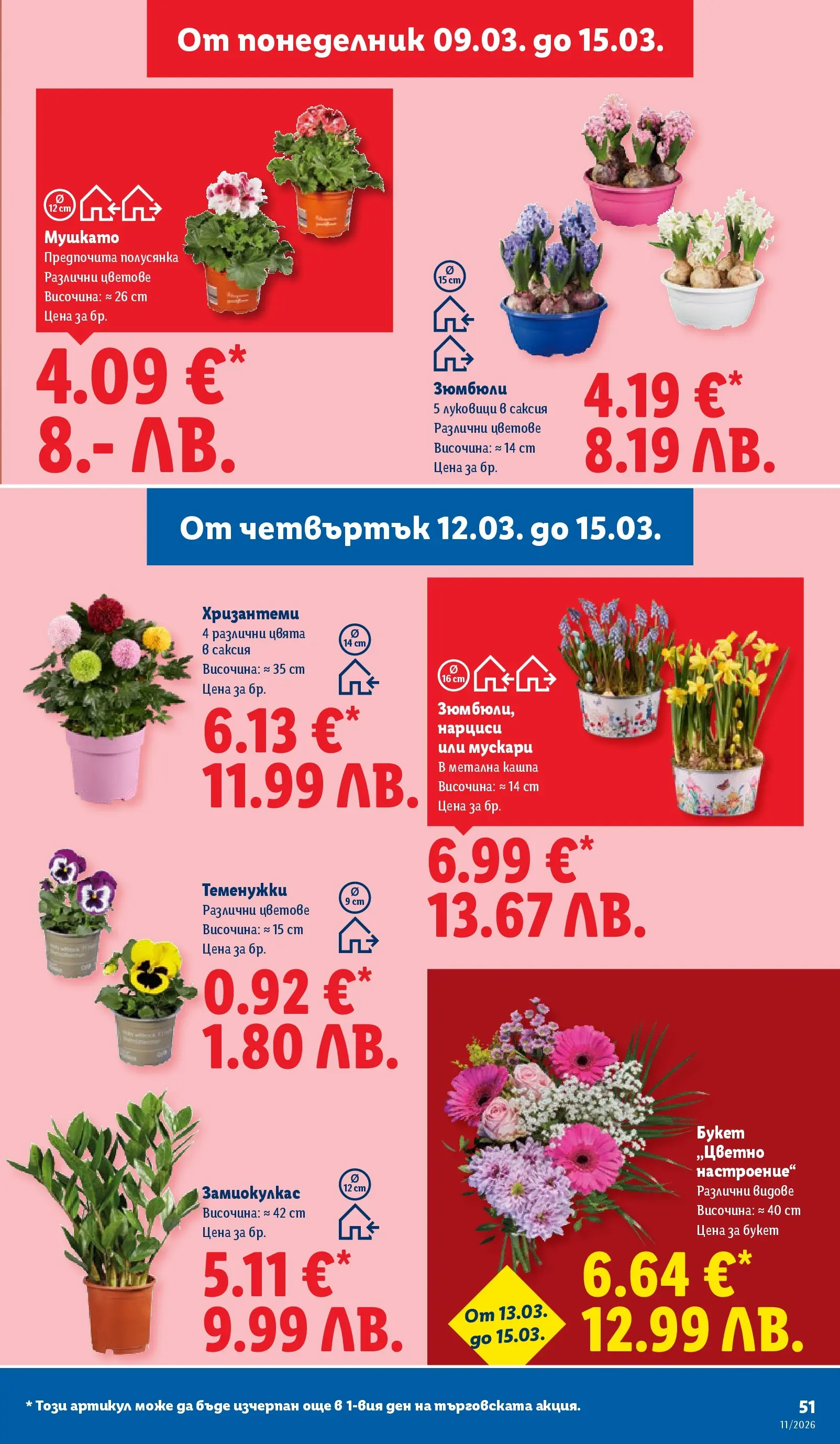 Лидл - Темпераментни предложения в ЛИДЛ с валидност до 15.03.2026 от 08.03.2026 | Страница: 51 | Продукти: Кашпа, Саксия