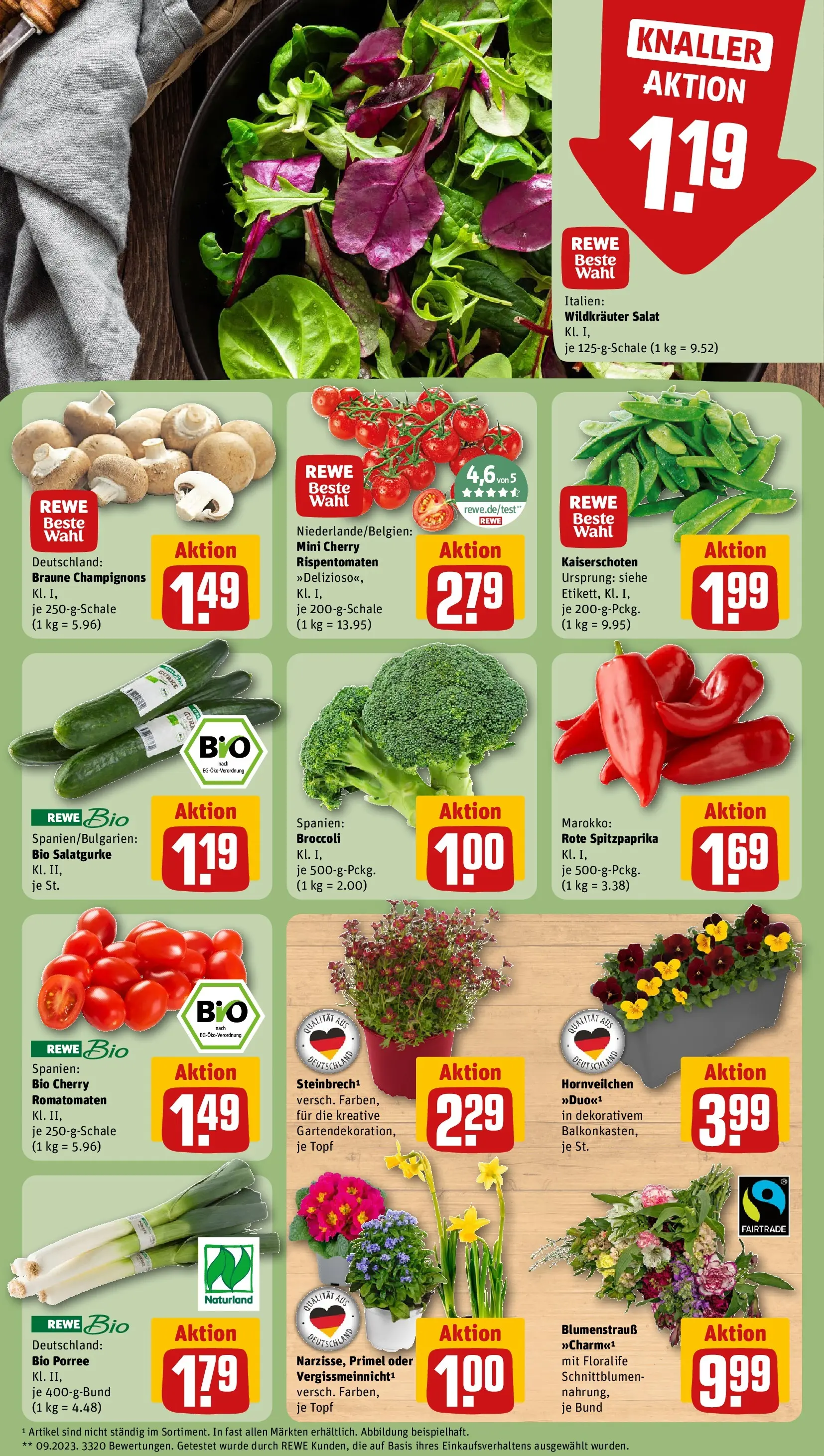 REWE Prospekt ab 09.03.2026 zum Blättern » Angebote | Seite: 7 | Produkte: Champignons, Salat