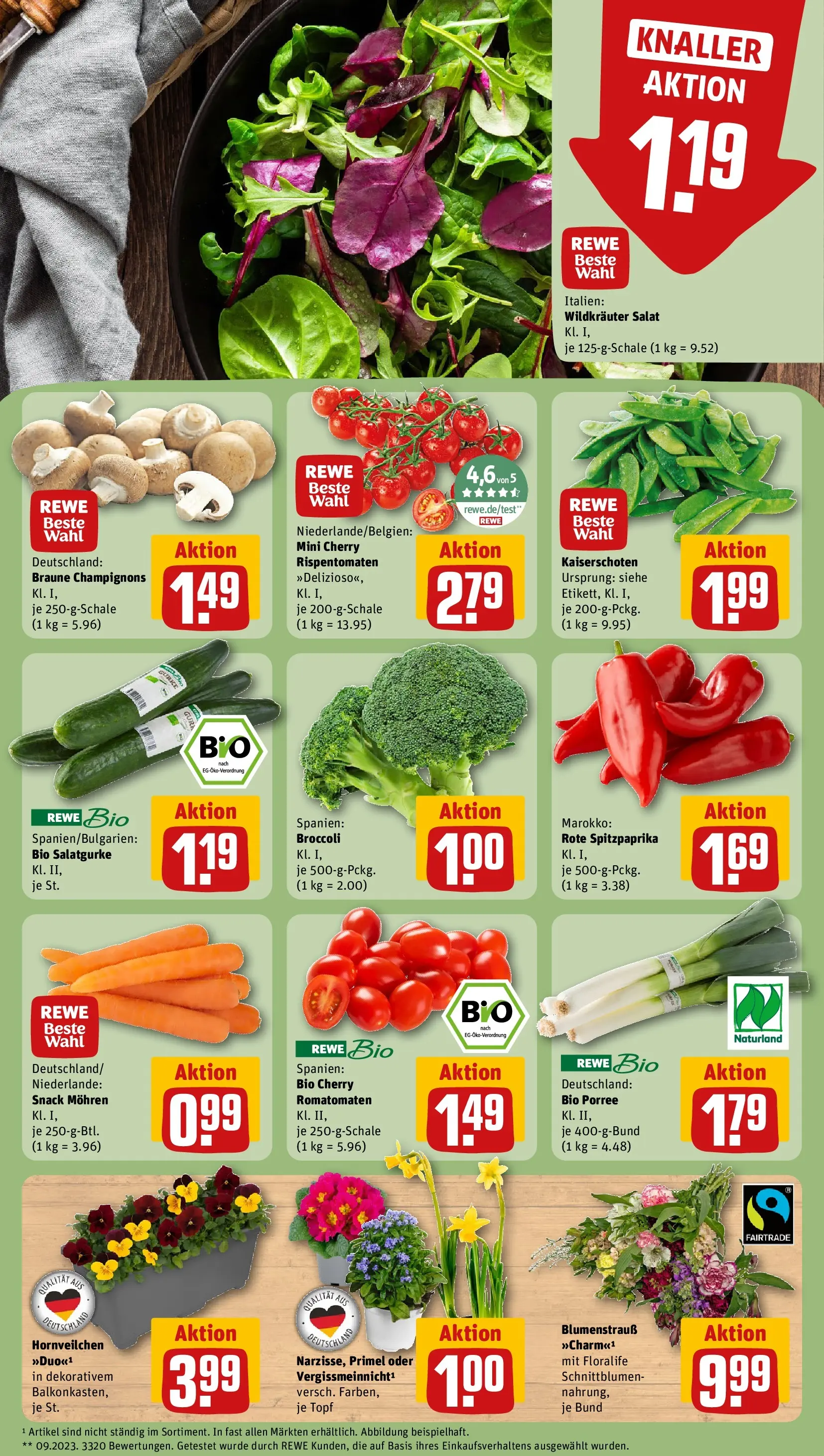 REWE Prospekt ab 09.03.2026 zum Blättern » Angebote | Seite: 7 | Produkte: Mohren, Champignons, Salat