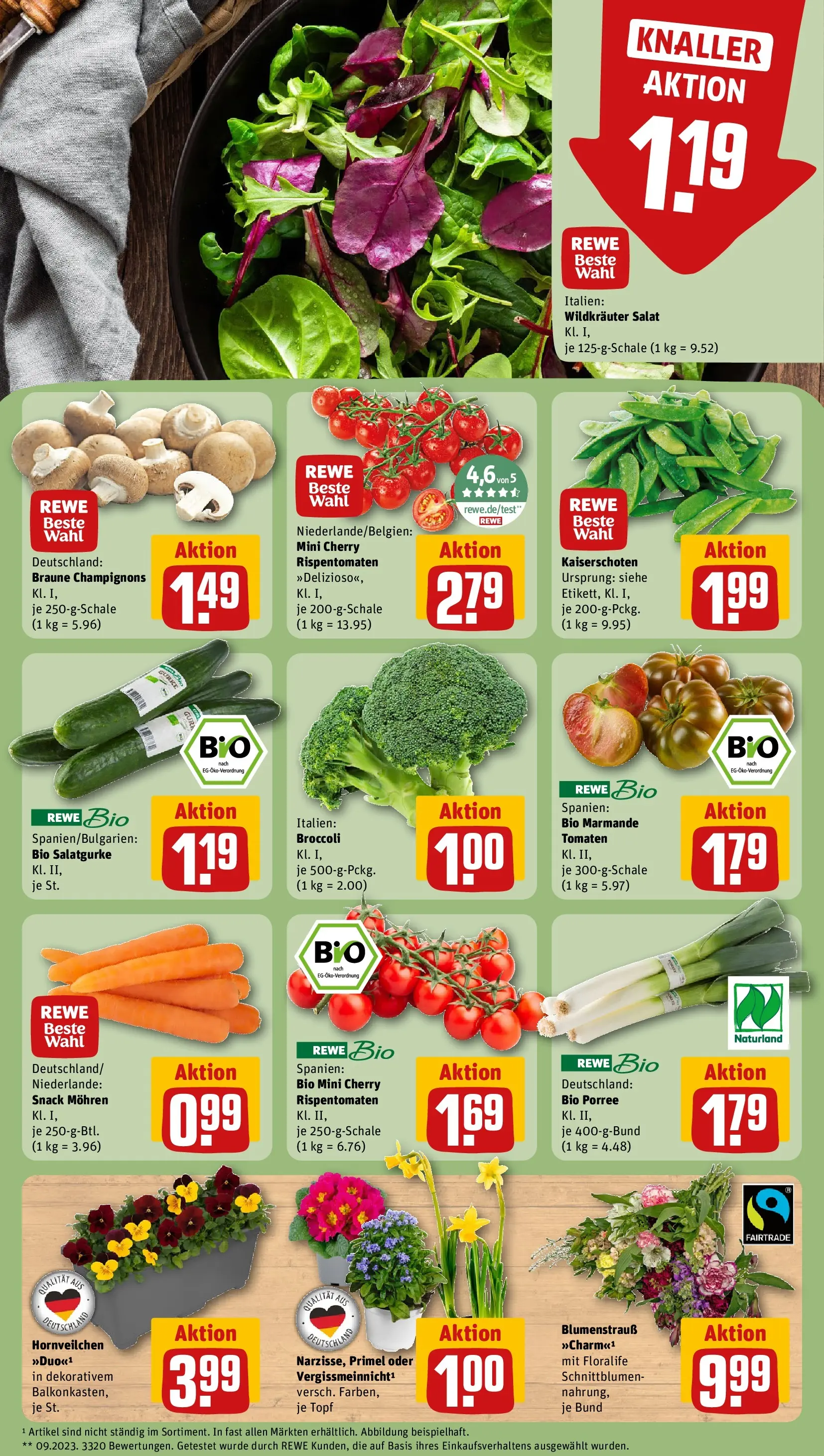 REWE Prospekt ab 09.03.2026 zum Blättern » Angebote | Seite: 7 | Produkte: Tomaten, Mohren, Champignons, Salat