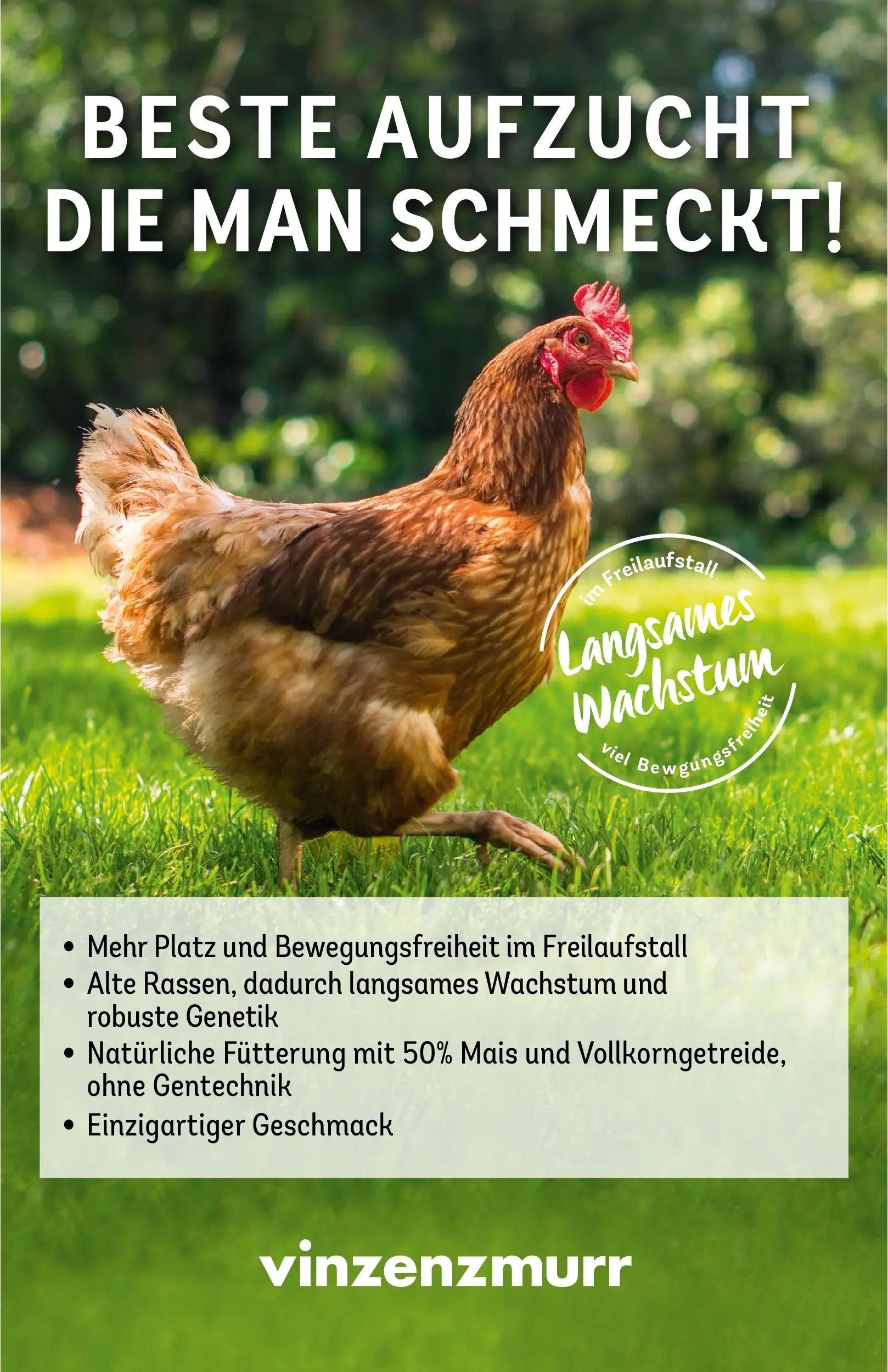 REWE Prospekt ab 09.03.2026 zum Blättern » Angebote | Seite: 11