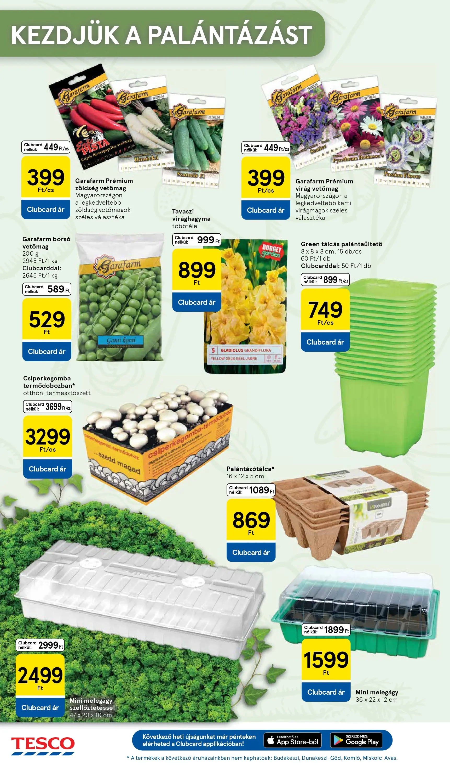 Tesco - Tesco újság érvényessége 2026.03.11-ig - 2026.03.04.-tól - online | Oldal: 16 | Termékek: Csiperkegomba, Vetőmag, Virag, Zöldség