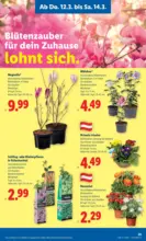 Lidl Lidl - bis 18.03.2026