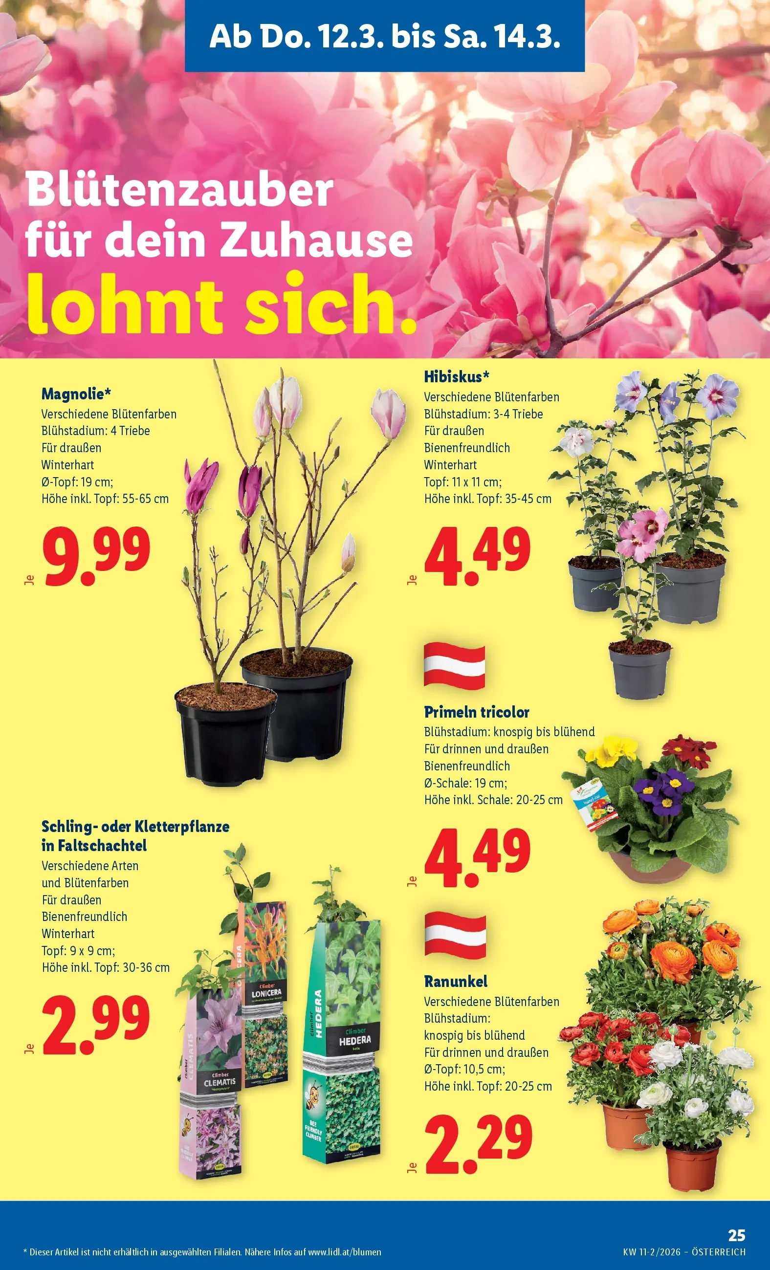 Lidl Flugblatt - Wien, Langenzersdorf, Zwettl ab 12.03.2026 - Angebote ab donnerstag | Seite: 29